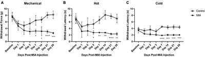 Investigating the Role of Artemin and Its Cognate Receptor, GFRα3, in Osteoarthritis Pain